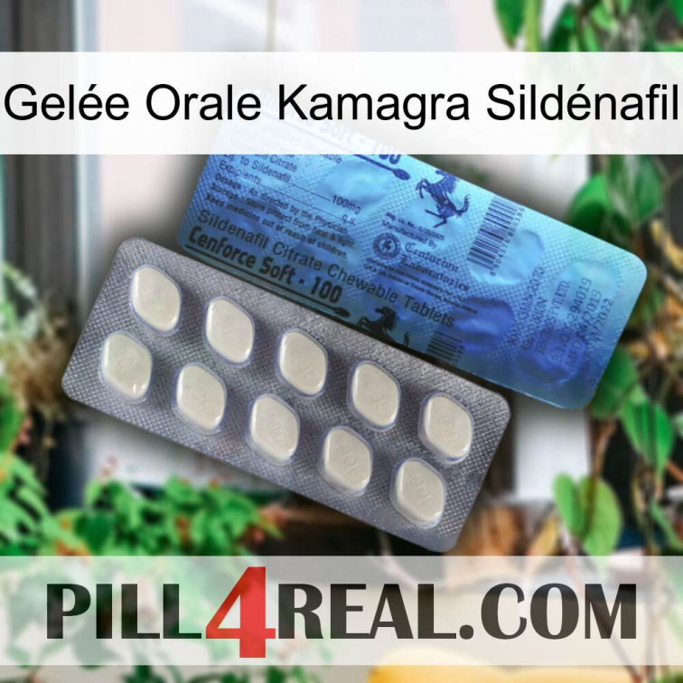 Gelée Orale Kamagra Sildénafil 34